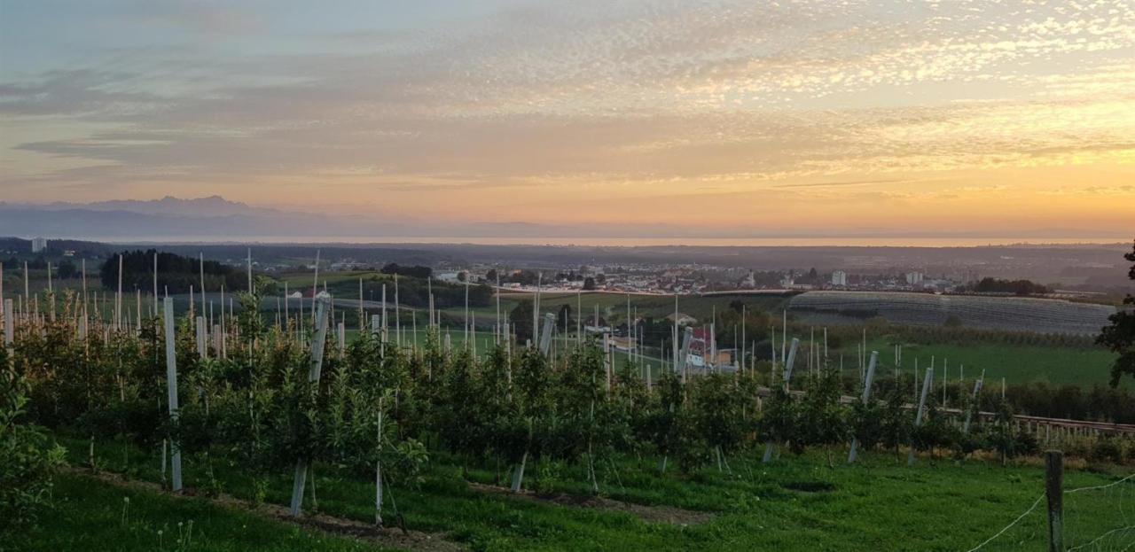 Ferienwohnung Stryck Tettnang Buitenkant foto
